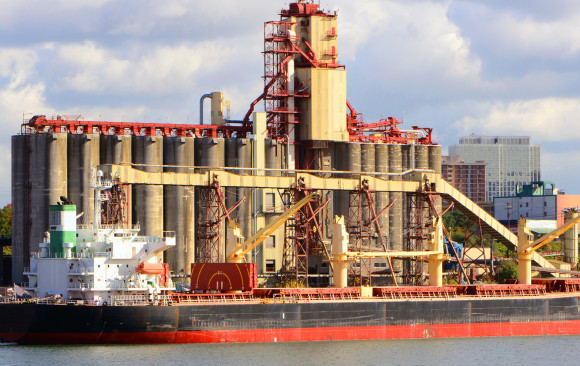 Dry Bulk Logistics